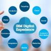 IBM Digital Experience