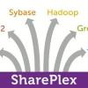 shareplex