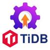 TiDB升级