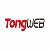 TongWeb